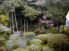 I~000042.jpg (428651 byte)