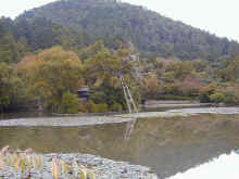 I~000051.jpg (396719 byte)