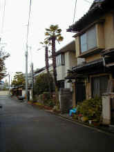 I~000057.jpg (361359 byte)
