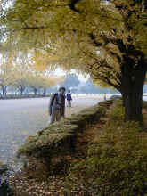 I~000117.jpg (633305 byte)