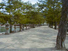 Pa300005.jpg (402146 byte)