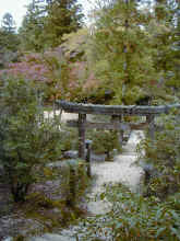 Pa300045.jpg (642485 byte)