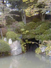 Pb020031.jpg (514120 byte)