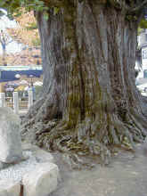 Pb030016.jpg (564637 byte)