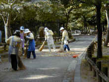 Pb040016.jpg (405785 byte)