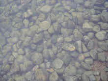 Pb070008.jpg (332433 byte)