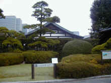 Pb070017.jpg (363276 byte)