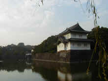 Pb070038.jpg (321148 byte)